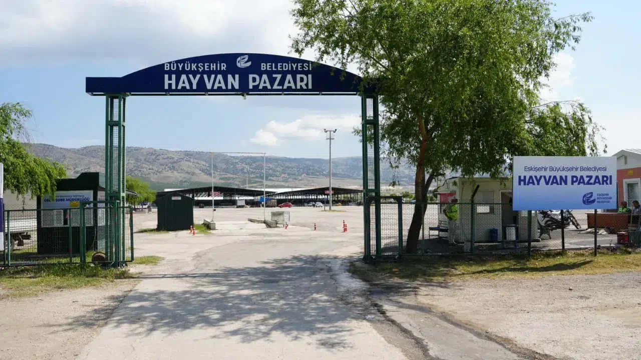 Eskişehir'de Hayvan Pazarı için yer kiralama işlemleri başlıyor!