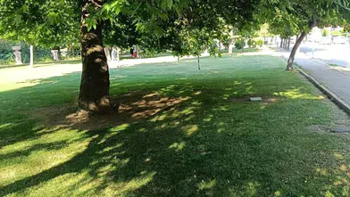 Eleştiri sonrası harekete geçildi: Aydın Arat Parkı'nda bakım çalışması yapıldı