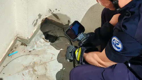 Eskişehir'de itfaiye ekipleri yavru kediler için seferber oldu