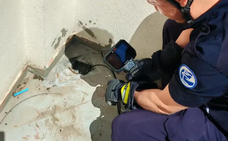 Eskişehir'de itfaiye ekipleri yavru kediler için seferber oldu