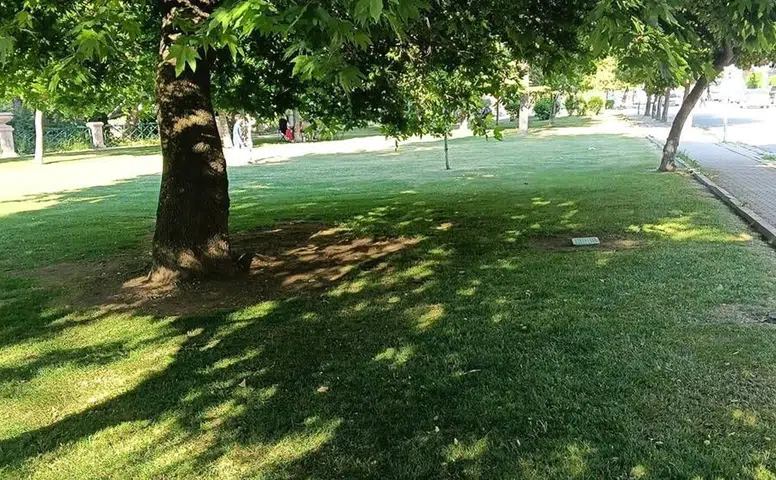Eleştiri sonrası harekete geçildi: Aydın Arat Parkı'nda bakım çalışması yapıldı